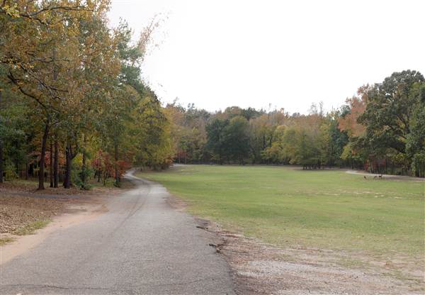 Davey Dogwood Park (11/13/2014)