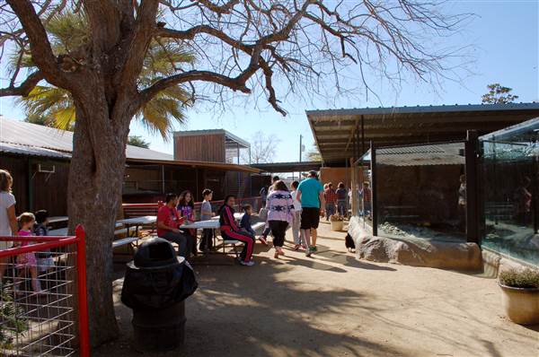 Animal World and Snake Farm (1/19/2015)
