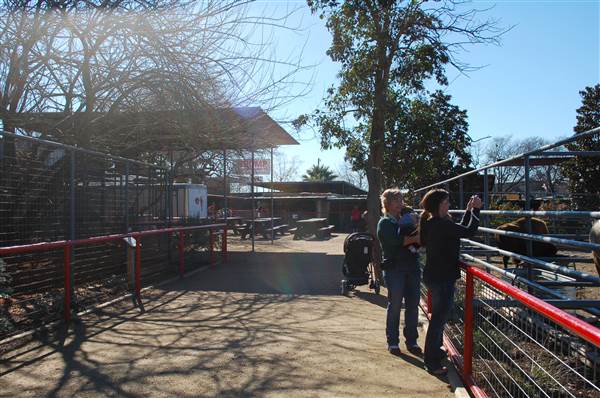 Animal World and Snake Farm (1/19/2015)