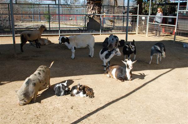 Animal World and Snake Farm (1/19/2015)