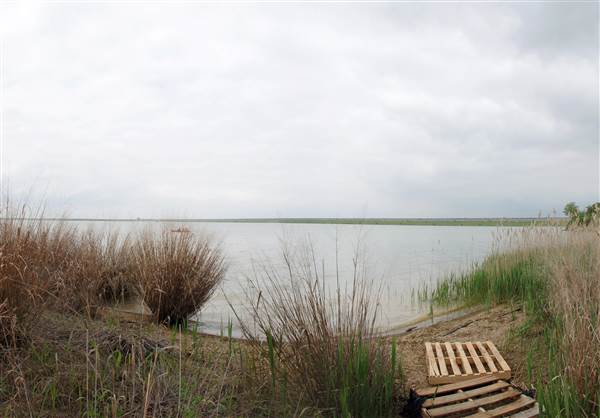 Cedar Hill State Park (4/13/2015)