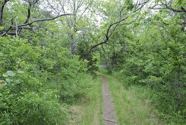 Cedar Hill State Park (4/13/2015)