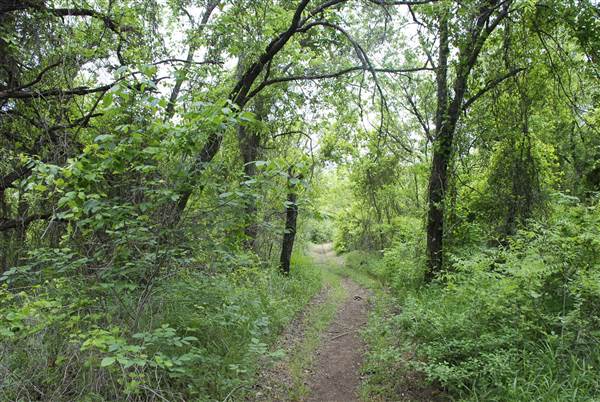 Cedar Hill State Park (4/13/2015)