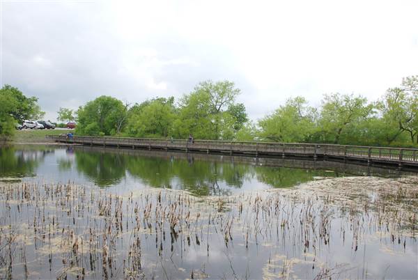 Cedar Hill State Park (4/13/2015)
