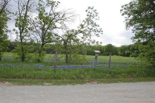 Cedar Hill State Park - Penn Farm (4/13/2015)