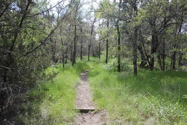 Cedar Hill State Park - Talala Trail (4/15/2015)