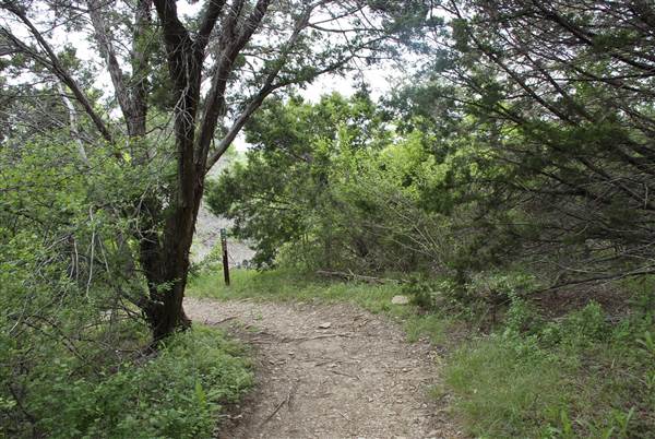 Cedar Hill State Park - Talala Trail (4/15/2015)
