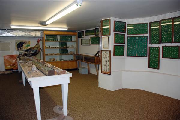 Pioneer City County Museum (3/25/2015)