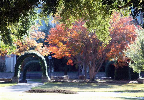 McLennan Community College (1/12/2016)