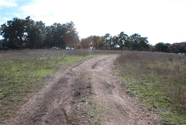 Longhorn River Ranch (12/9/2015)