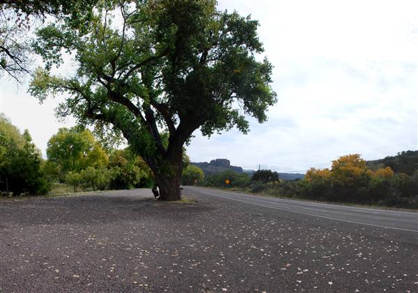 Hwy 118 South of Fort Davis (10/15/2015)