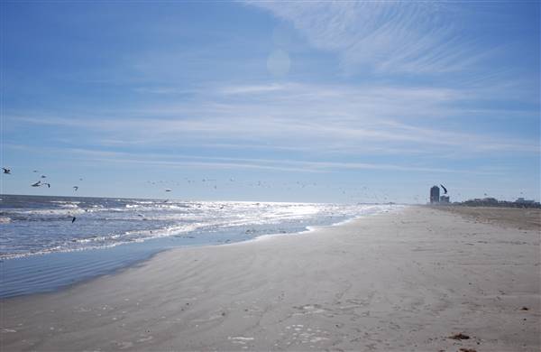 East Beach (2/16/2016)