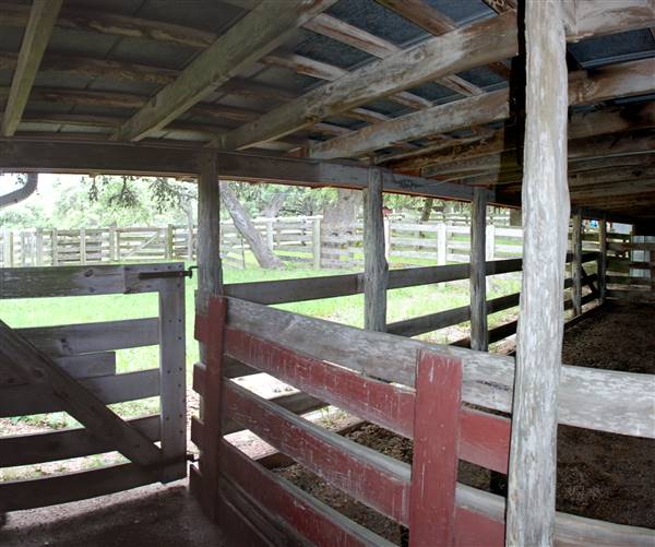 Storm Ranch (5/10/2016)