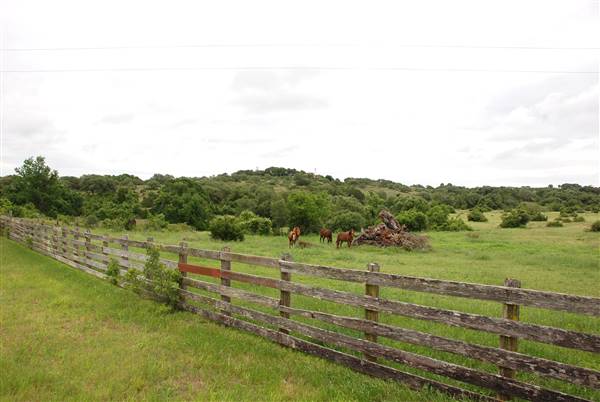 Storm Ranch (5/10/2016)
