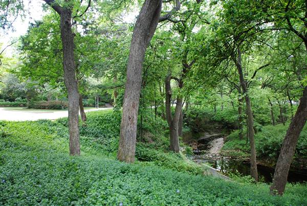 Davis Park (4/14/2016)