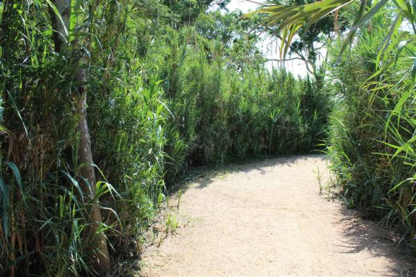 Seabrook Hike & Bike Trails (6/16/2016)