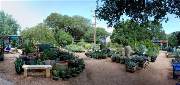 Hill Country Water Gardens & Nursery (8/11/2017)