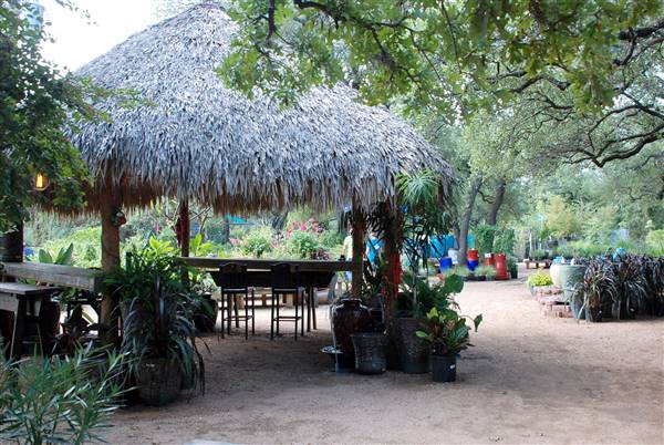 Hill Country Water Gardens & Nursery (8/11/2017)