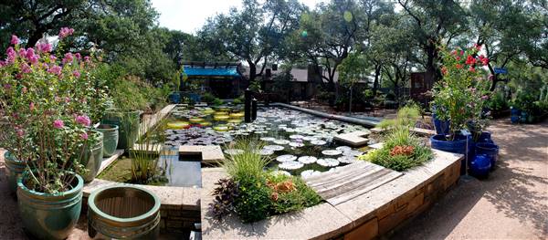 Hill Country Water Gardens & Nursery (8/11/2017)