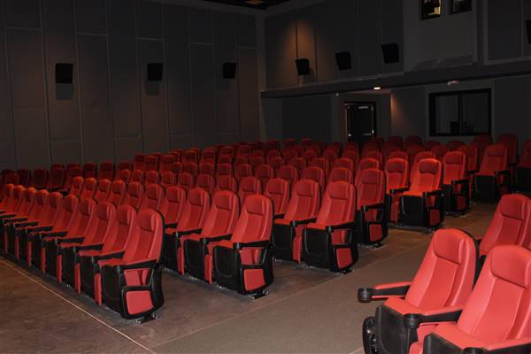 AFS Cinema (8/7/2017 - Credits: Victoria Pollock)