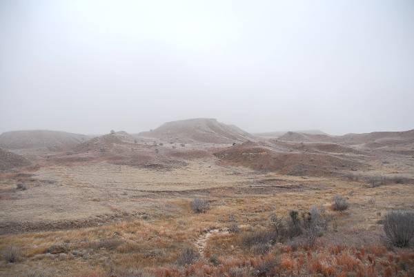 Mendota Ranch (12/13/2007)