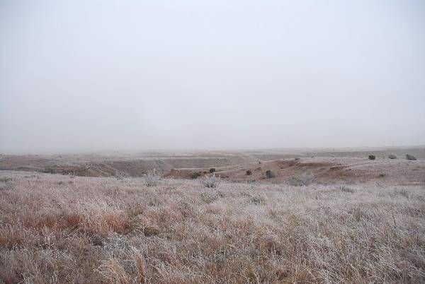 Mendota Ranch (12/13/2007)