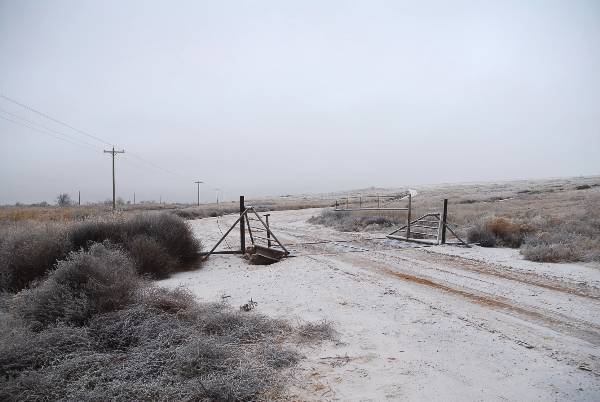 Mendota Ranch (12/13/2007)