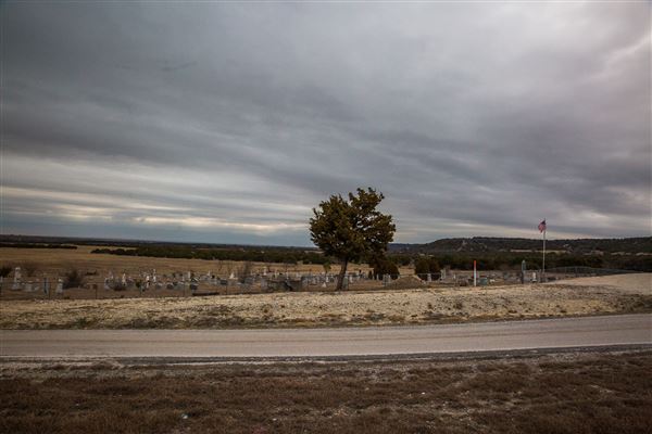 Fairy Cemetery (3/9/2018)