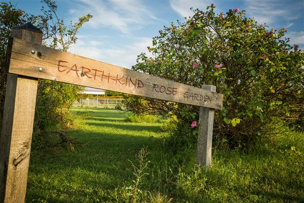 Pete's Path (3/16/2018)