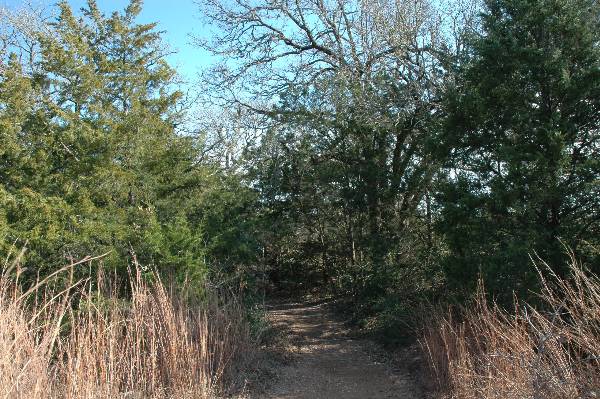 McKinney Roughs Nature Park (1/17/2008)