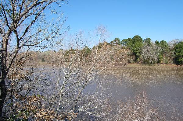 Buescher State Park (2/26/2008)