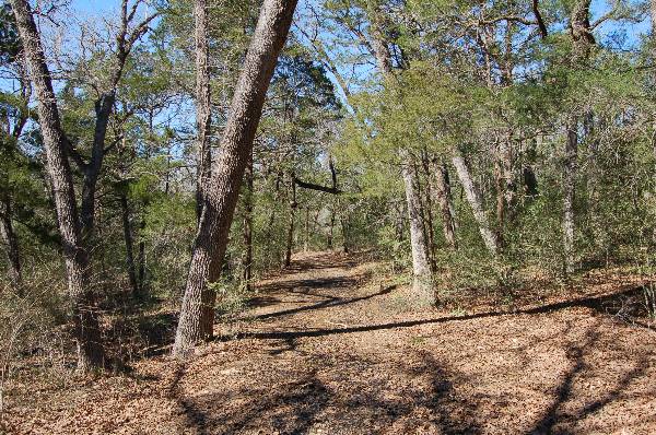 Buescher State Park (2/26/2008)