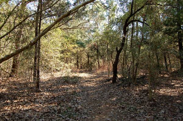 Buescher State Park (2/26/2008)
