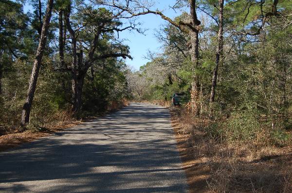 Buescher State Park (2/26/2008)