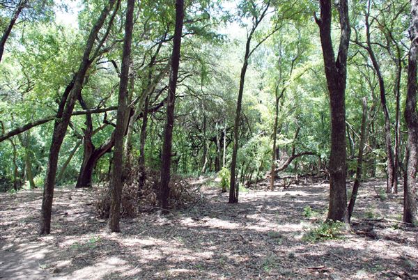 Judson Nature Trails (7/5/2018)