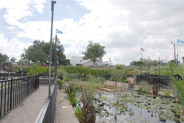 International Waterlily Collection (9/17/2018)