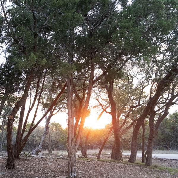 The Cedars Ranch (3/20/2019 - Credits: Mark Hemmings)