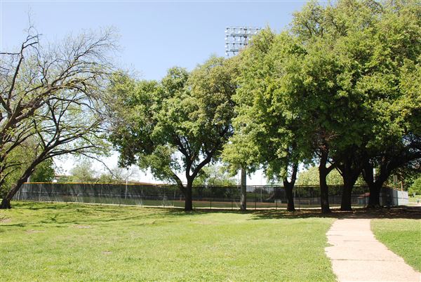 Reverchon Park (4/12/2019)