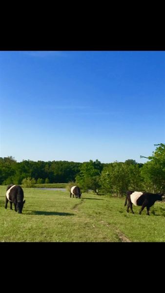 Obregon Ranch (5/14/2019 - Credits: Jariah Obregon)