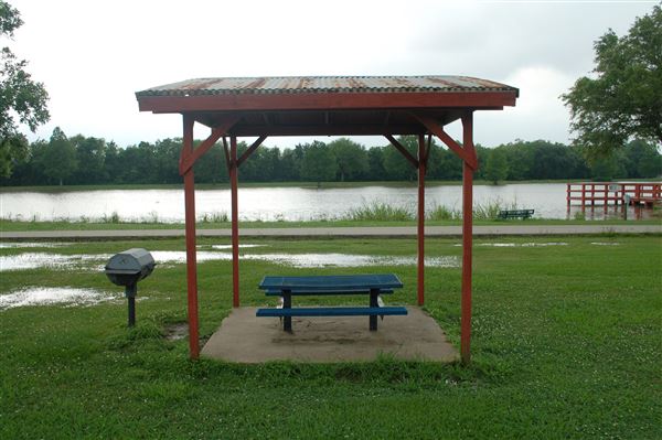 Kitty Hollow Park (5/10/2019)