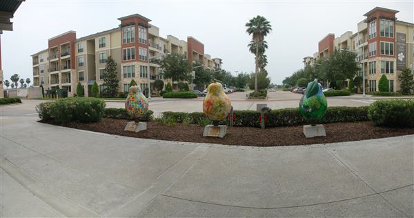 Pearland Town Center (5/9/2019)
