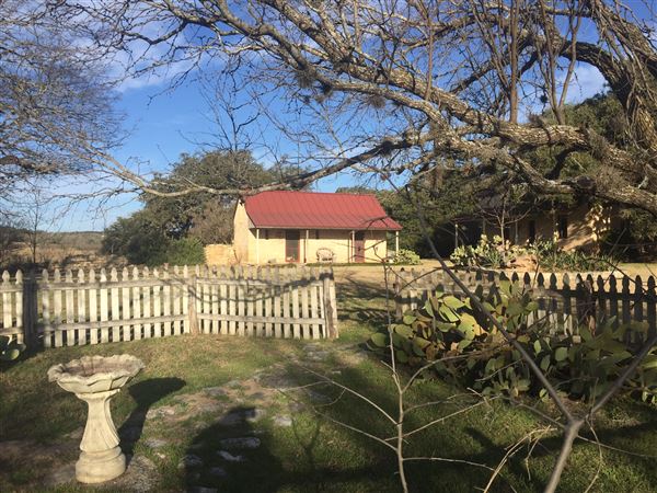 The Back Forty Ranch (6/3/2019)