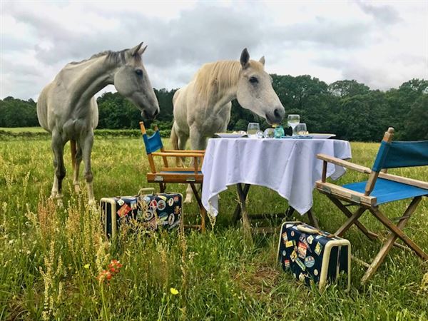 Sabor A Pasion Estate & Vineyard (5/4/2019)