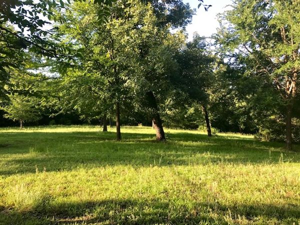 Sabor A Pasion Estate & Vineyard (5/4/2019)