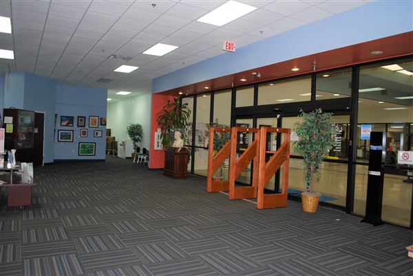 Palestine Public Library (7/10/2019)