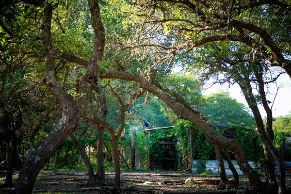 The Wildflower Country Inn & Event Center (5/2/2019)
