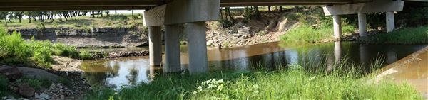 Brazos River at FM 4 Bridge (7/16/2019)
