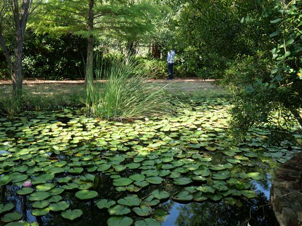 Clark Gardens Botanical Park (7/16/2019)