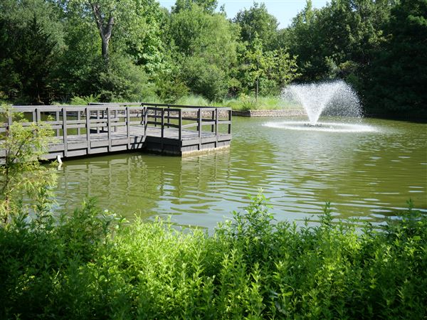 Clark Gardens Botanical Park (7/16/2019)