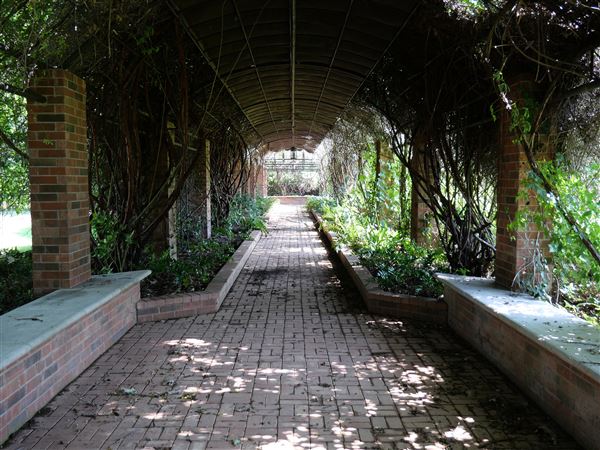 Clark Gardens Botanical Park (7/16/2019)